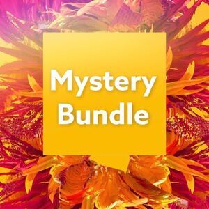 Mystery Bundle- Who doesn’t like surprises?